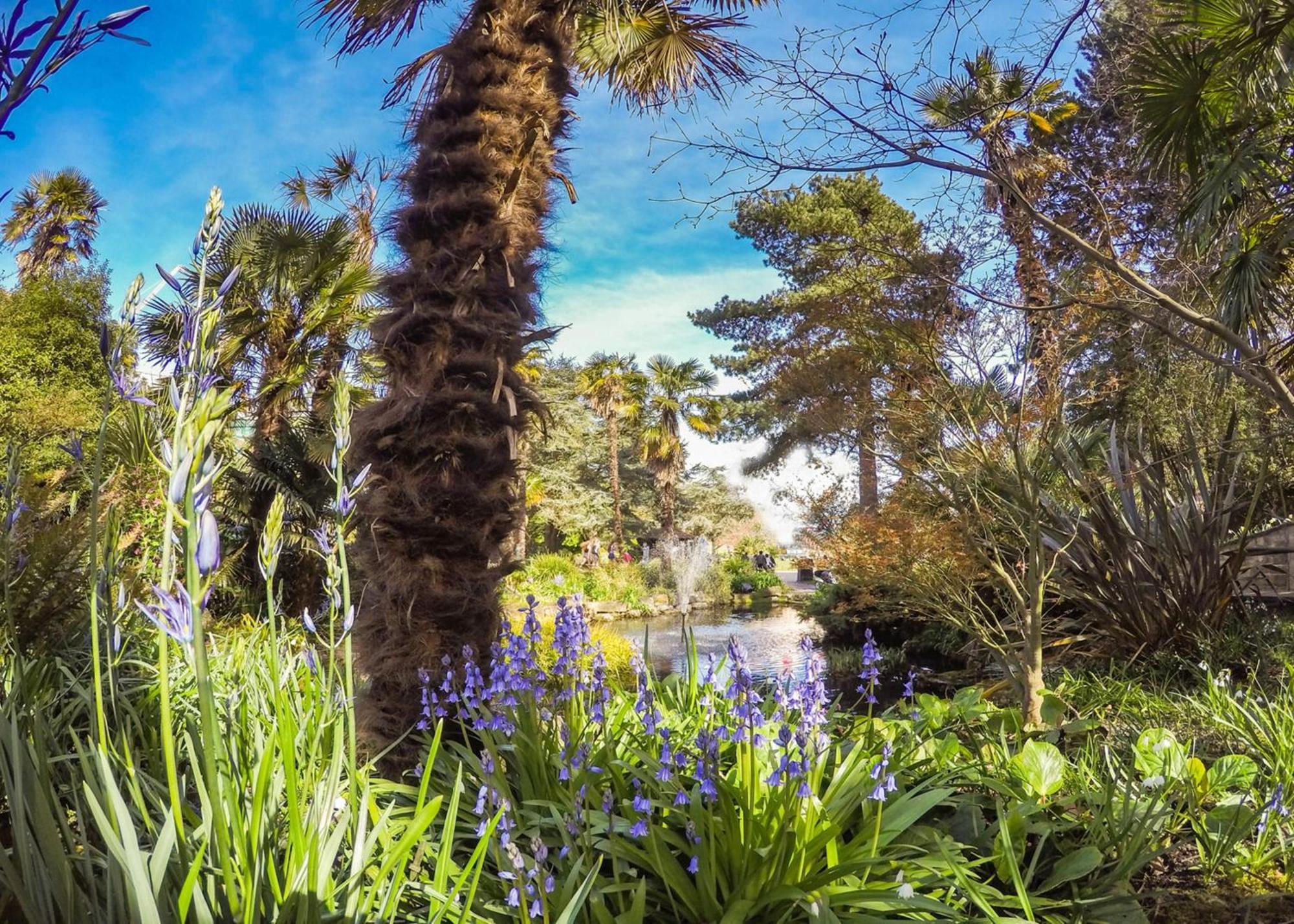 Bournecoast - Clifftop Apartment With Garden -Fm827 Bournemouth Ngoại thất bức ảnh