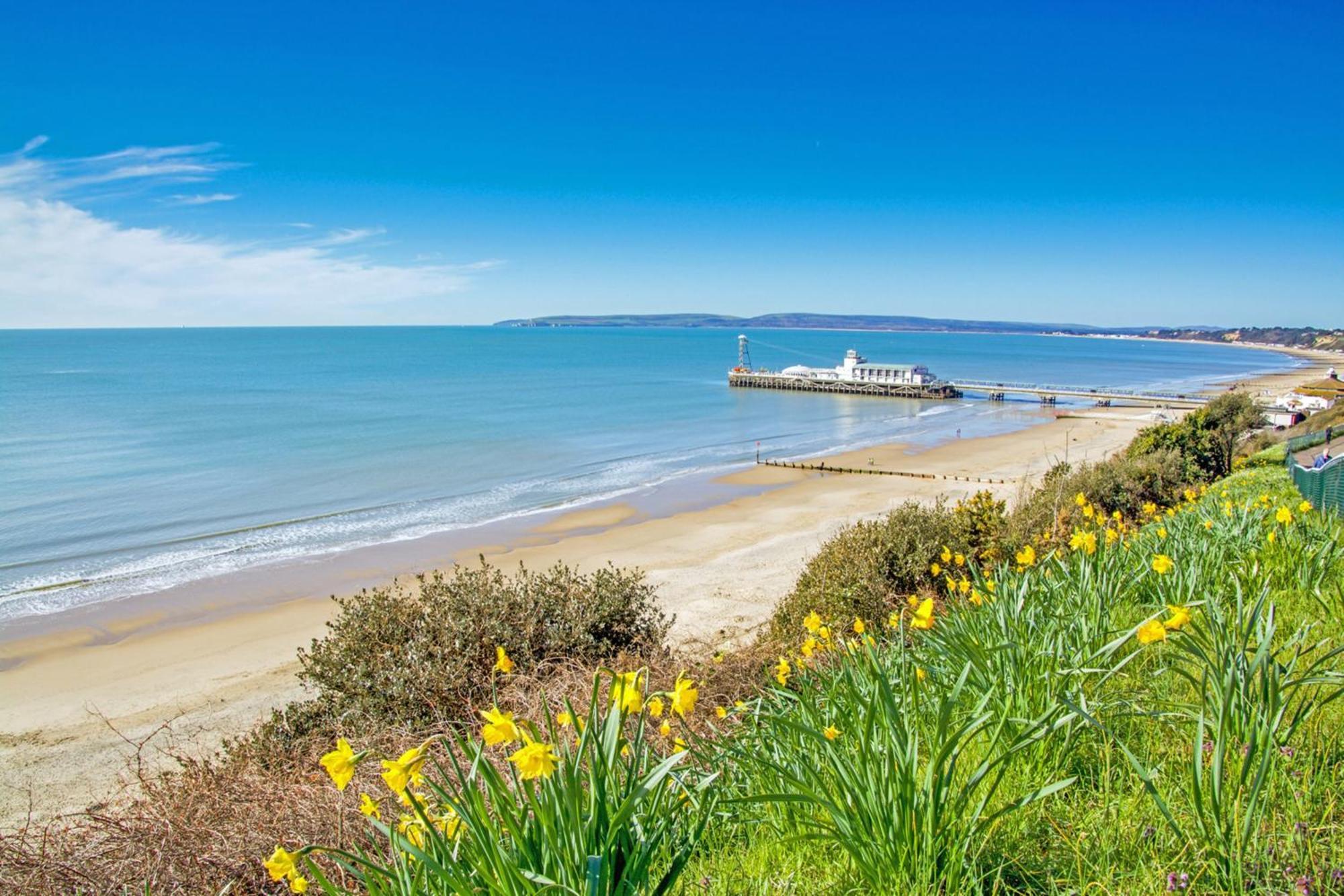 Bournecoast - Clifftop Apartment With Garden -Fm827 Bournemouth Ngoại thất bức ảnh